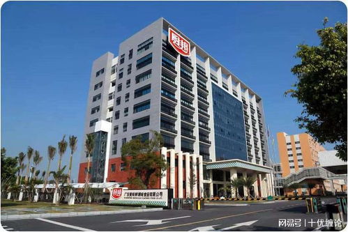 十優(yōu)纏論 中炬高新 sh600872 纏論技術(shù)分析