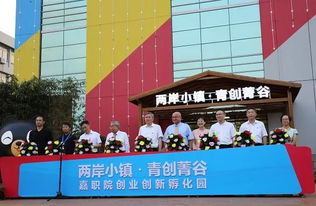 兩岸小鎮(zhèn) 青創(chuàng)菁谷 啟用 臺(tái)灣青年嘉興創(chuàng)業(yè)再添新平臺(tái)